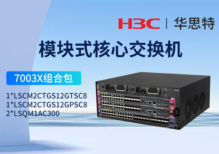 华三h3c s7003x 16千兆光口 16千兆电口套包 ls-7003x多业务企业级网络核心路由交换机 标准版光电组合套装